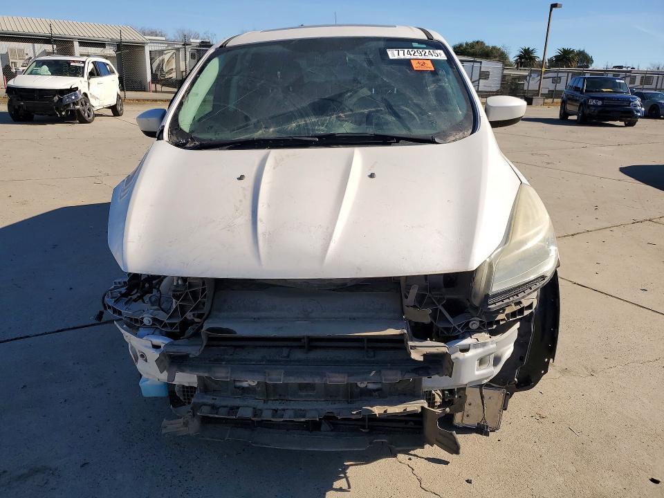 Aukcja sprzedaży 2014 Ford Escape, vin: 1FMCU0GX4EUB09724, numer aukcji: 77429245