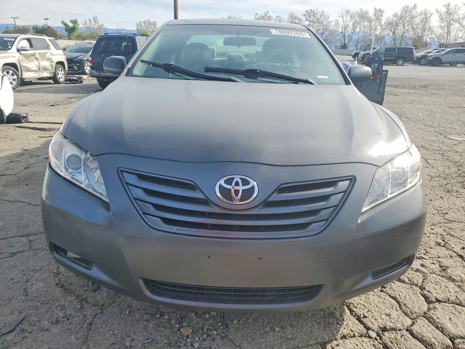 78602555 :رقم المزاد ، 4T4BE46K99R091156 vin ، 2009 Toyota Camry مزاد بيع