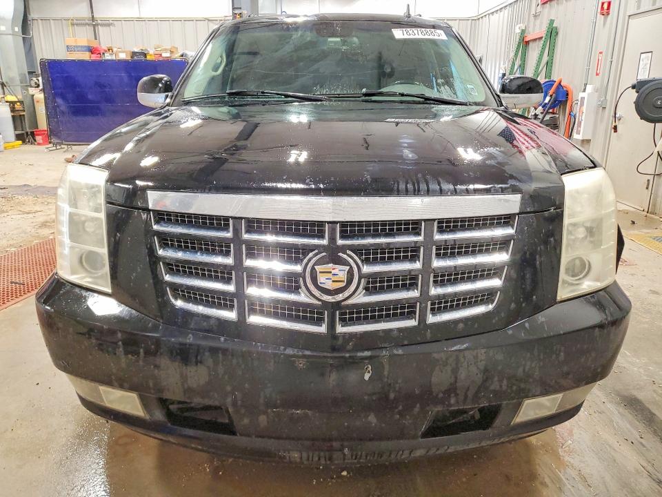 Продаж на аукціоні авто 2007 Cadillac Escalade, vin: 1GYFK66897R203988, номер лоту: 78378885
