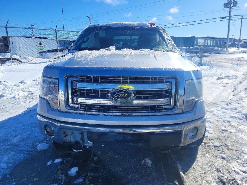 99843355 :رقم المزاد ، 1FTFW1EF2DFD85964 vin ، 2013 Ford F150 مزاد بيع