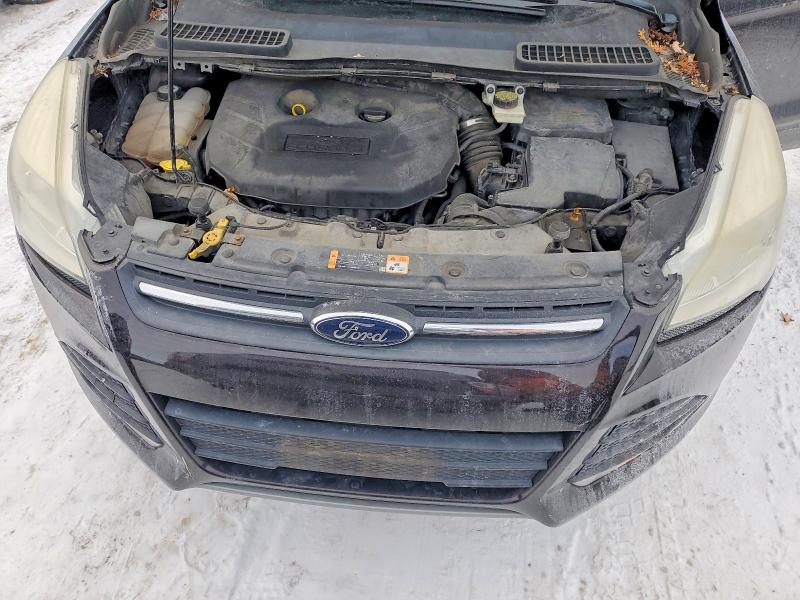 76267065 :رقم المزاد ، 1FMCU0G91DUC49536 vin ، 2013 Ford Escape مزاد بيع