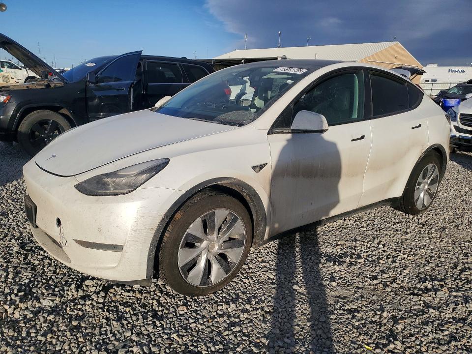 Продажа на аукционе авто 2022 Tesla Model Y, vin: 7SAYGDEE5NA017671, номер лота: 75992735