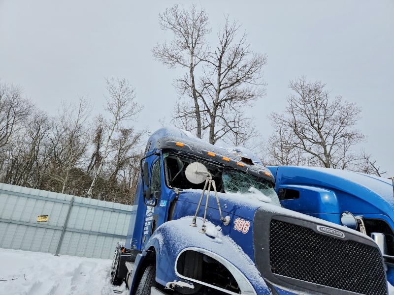 Aukcja sprzedaży 2006 Freightliner Columbia, vin: 1FUJA6CK56LU13517, numer aukcji: 75827855