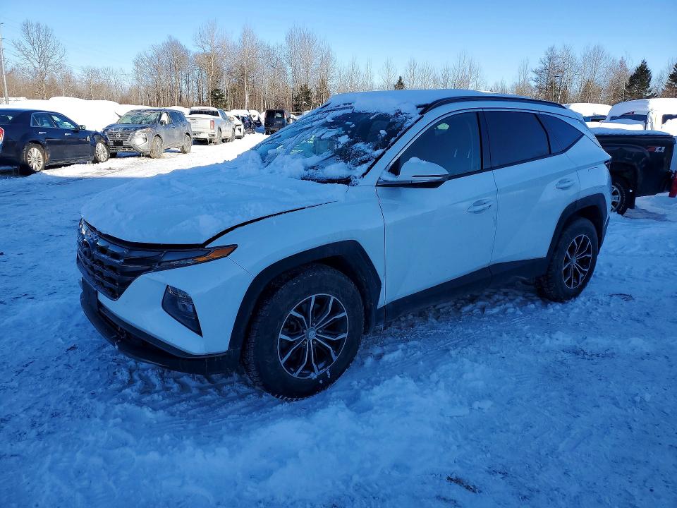 Продажа на аукционе авто 2022 Hyundai Tucson, vin: KM8JCCAE3NU103349, номер лота: 76801585
