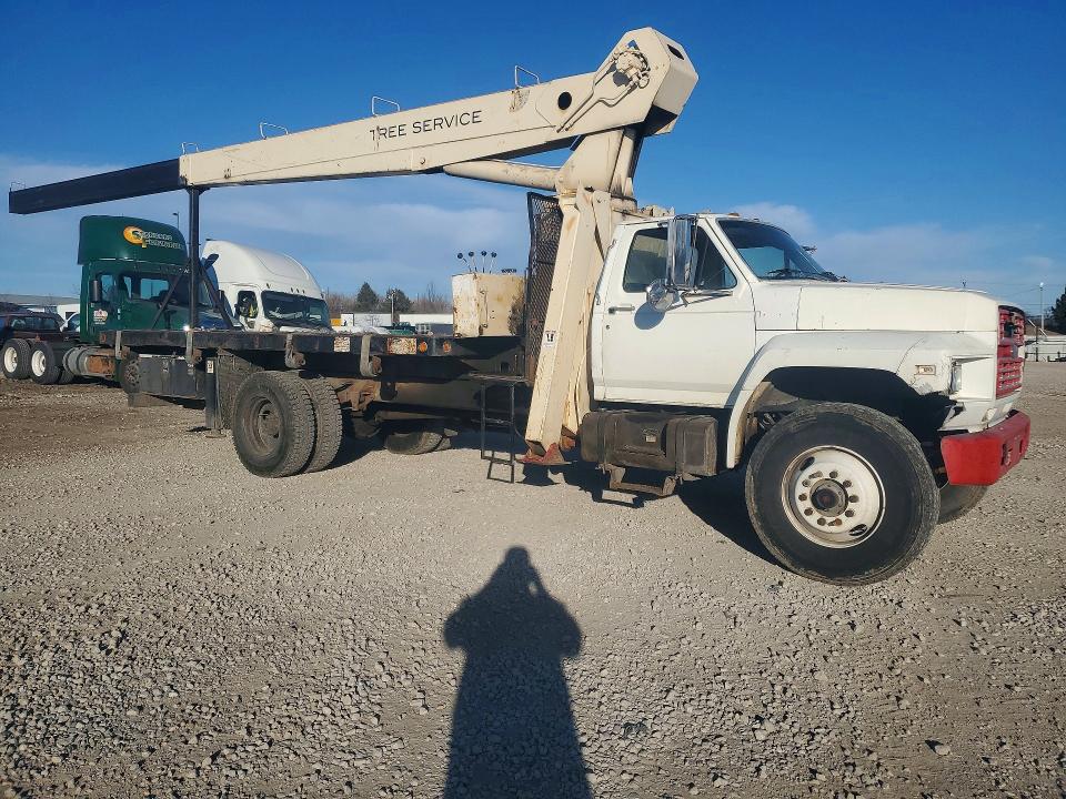 Продажа на аукционе авто 1986 Ford F8000, vin: 1FDPK84N3GVA12648, номер лота: 77379925
