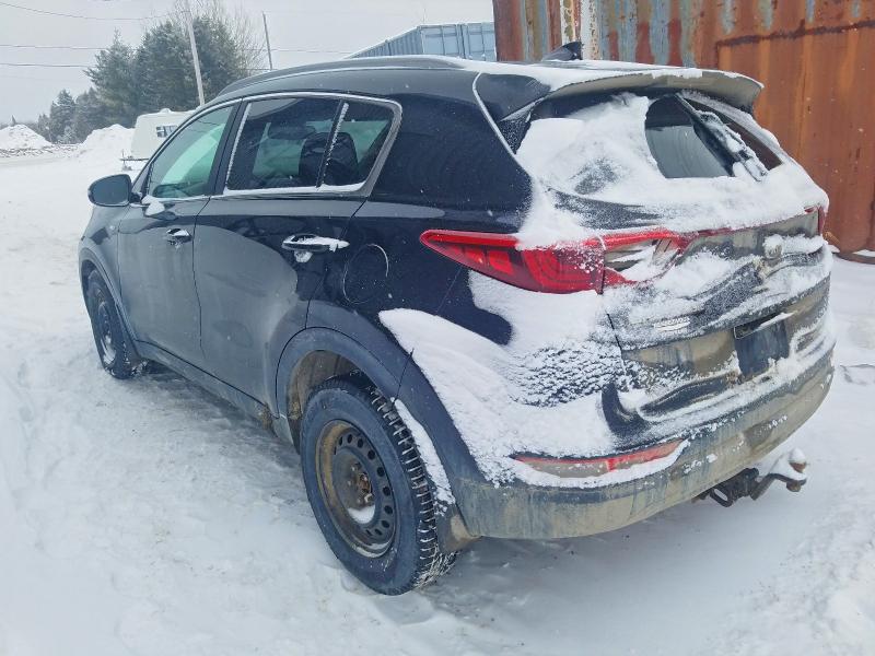 Продаж на аукціоні авто 2017 Kia Sportage, vin: KNDPNCACXH7045587, номер лоту: 76130105