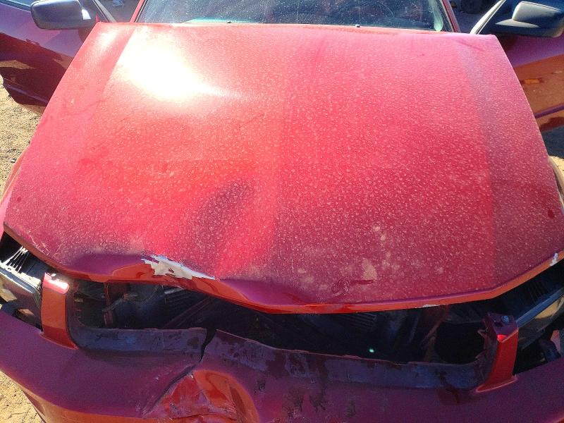 Aukcja sprzedaży 2006 Ford Mustang, vin: 1ZVFT82H165239133, numer aukcji: 78342845