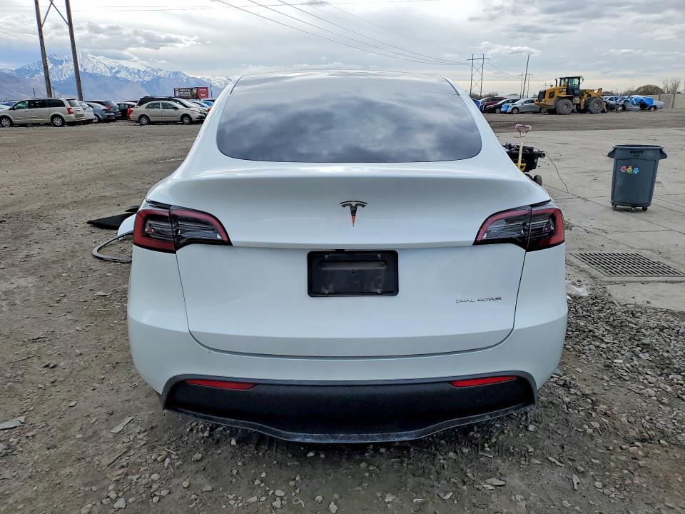 Aukcja sprzedaży 2023 Tesla Model Y, vin: 7SAYGDEE6PF967835, numer aukcji: 77601455