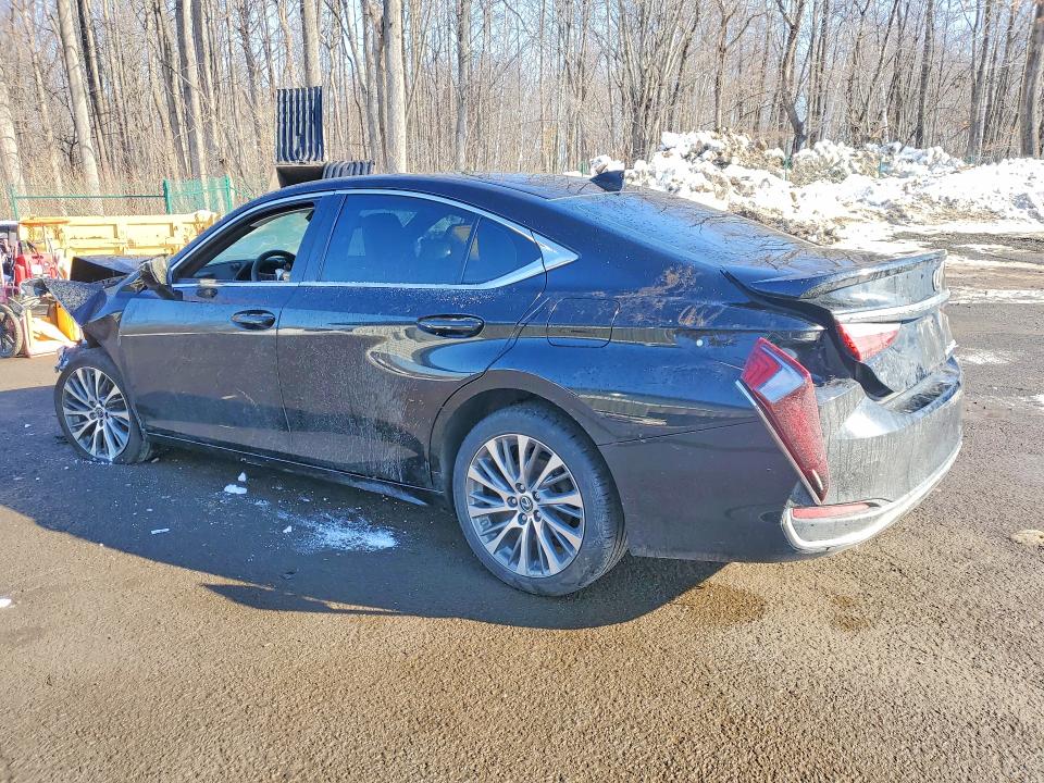 Продаж на аукціоні авто 2021 Lexus Es 250, vin: 58AD11D11MU002883, номер лоту: 53228976