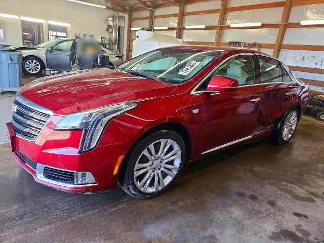 Продаж на аукціоні авто 2019 Cadillac Xts, vin: 2G61M5S36K9100161, номер лоту: 79457065