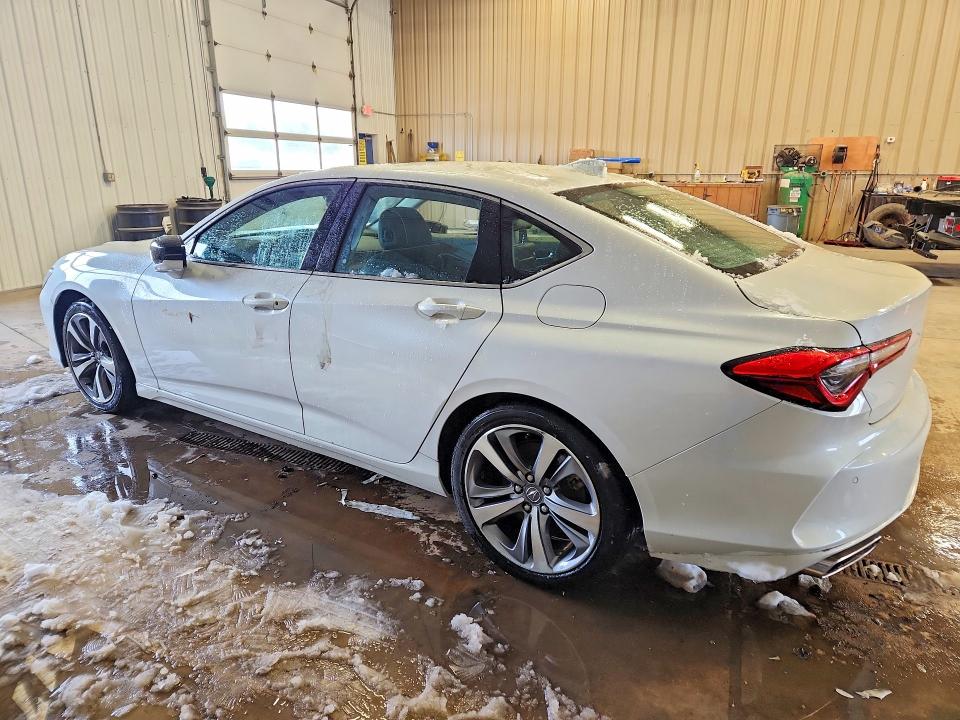77525455 :رقم المزاد ، 19UUB5F64MA002940 vin ، 2021 Acura Tlx مزاد بيع