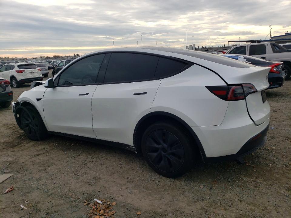 Продажа на аукционе авто 2024 Tesla Model Y, vin: 7SAYGDED1RF103088, номер лота: 77924595