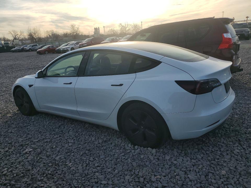 Продаж на аукціоні авто 2021 Tesla Model 3, vin: 5YJ3E1EB6MF980050, номер лоту: 76629535