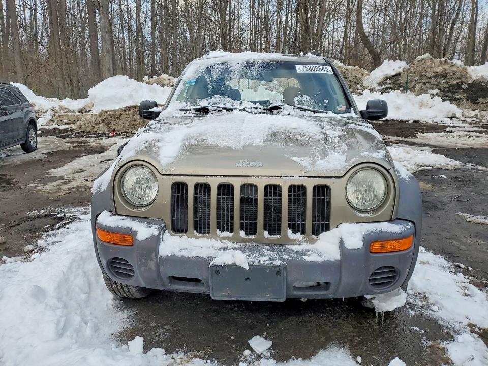 Продажа на аукционе авто 2004 Jeep Liberty, vin: 1J4GL48K84W247699, номер лота: 75808645