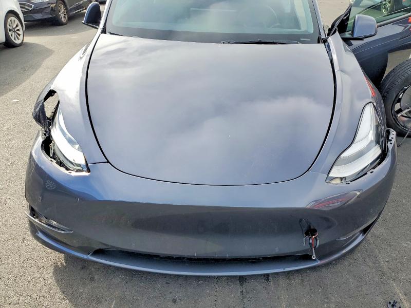 Aukcja sprzedaży 2023 Tesla Model Y, vin: 7SAYGDEE3PF584709, numer aukcji: 77798305