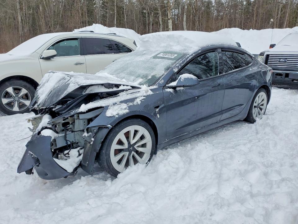 Auction sale of the 2023 Tesla Model 3 Long Range 7, vin: 5YJ3E1EB2PF416769, lot number: 74981355