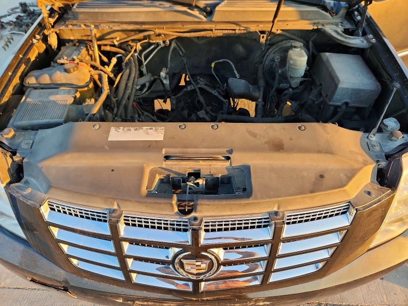 76487565 :رقم المزاد ، 1GYUKAEF5AR249769 vin ، 2010 Cadillac Escalade مزاد بيع