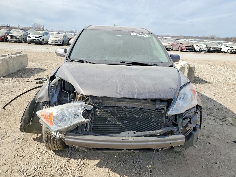 Продаж на аукціоні авто 2010 Honda Cr-v, vin: 5J6RE4H71AL011696, номер лоту: 77500395