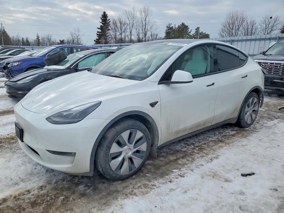Aukcja sprzedaży 2024 Tesla Model Y, vin: 7SAYGDEE7RF990608, numer aukcji: 78209645