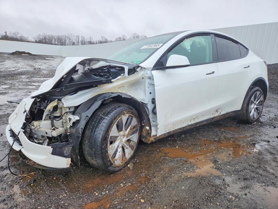 Продажа на аукционе авто 2021 Tesla Model Y, vin: 5YJYGDEE4MF190175, номер лота: 77802965