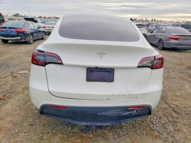 Продажа на аукционе авто 2024 Tesla Model Y, vin: 7SAYGDED1RF103088, номер лота: 77924595