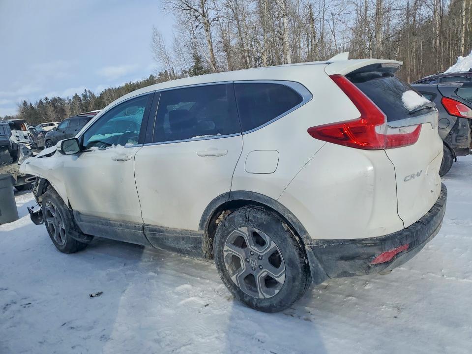 77111465 :رقم المزاد ، 2HKRW2H5XKH119276 vin ، 2019 Honda Cr-v مزاد بيع