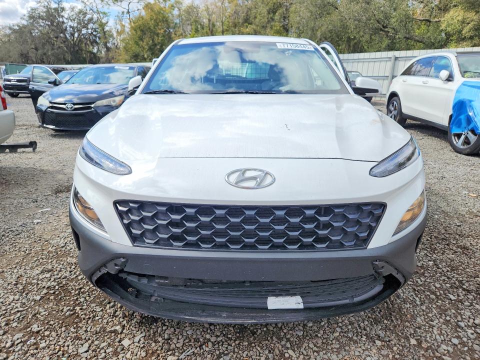 Продаж на аукціоні авто 2023 Hyundai Kona, vin: KM8K22AB4PU041194, номер лоту: 77158445