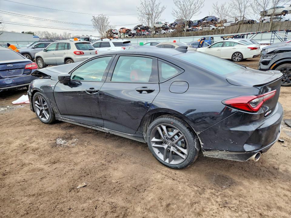 Продаж на аукціоні авто 2025 Acura Tlx, vin: 19UUB6F56SA005283, номер лоту: 75870895
