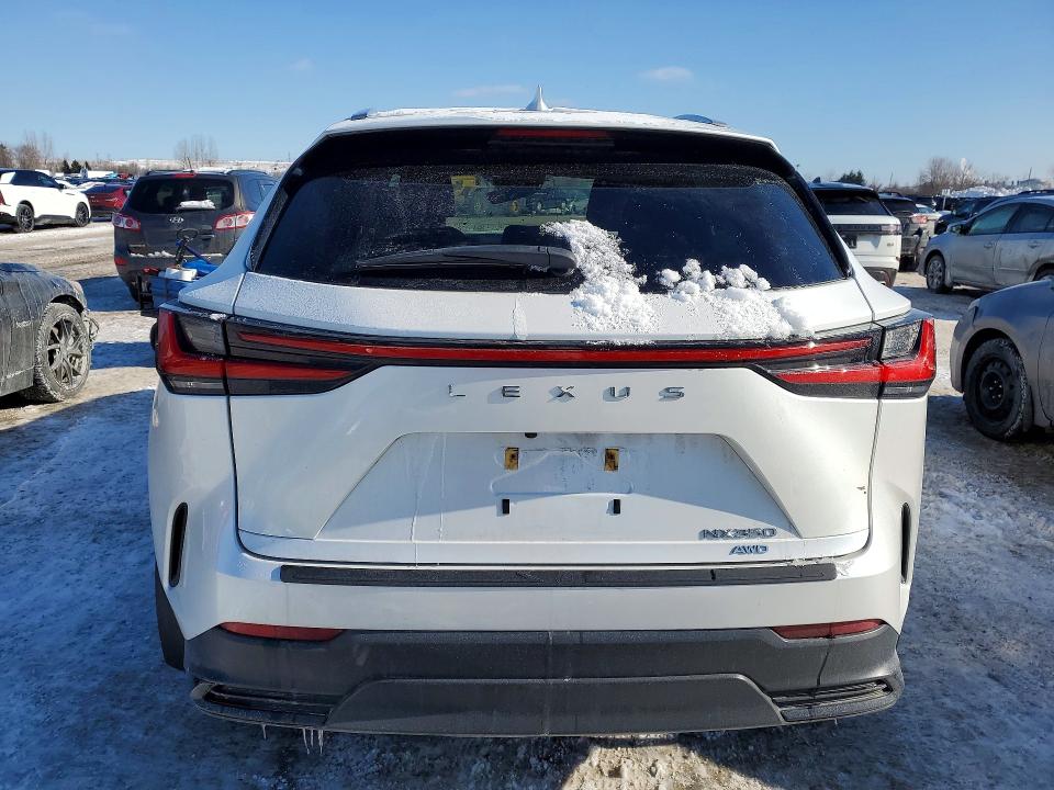 Auction sale of the 2024 Lexus Nx, vin: 2T2GGCEZ2RC035611, lot number: 74775445