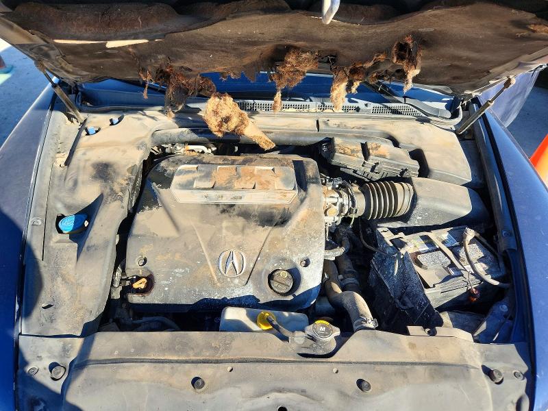 2008 Acura Tl მანქანა იყიდება აუქციონზე, vin: 19UUA66268A031545, აუქციონის ნომერი: 76016475
