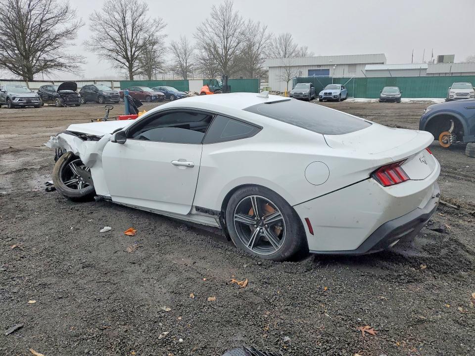 Продажа на аукционе авто 2024 Ford Mustang, vin: 1FA6P8TH1R5130672, номер лота: 77146535