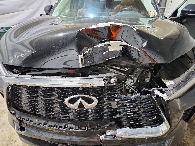 Aukcja sprzedaży 2023 Infiniti Qx60, vin: 5N1DL1GS0PC366194, numer aukcji: 76977765