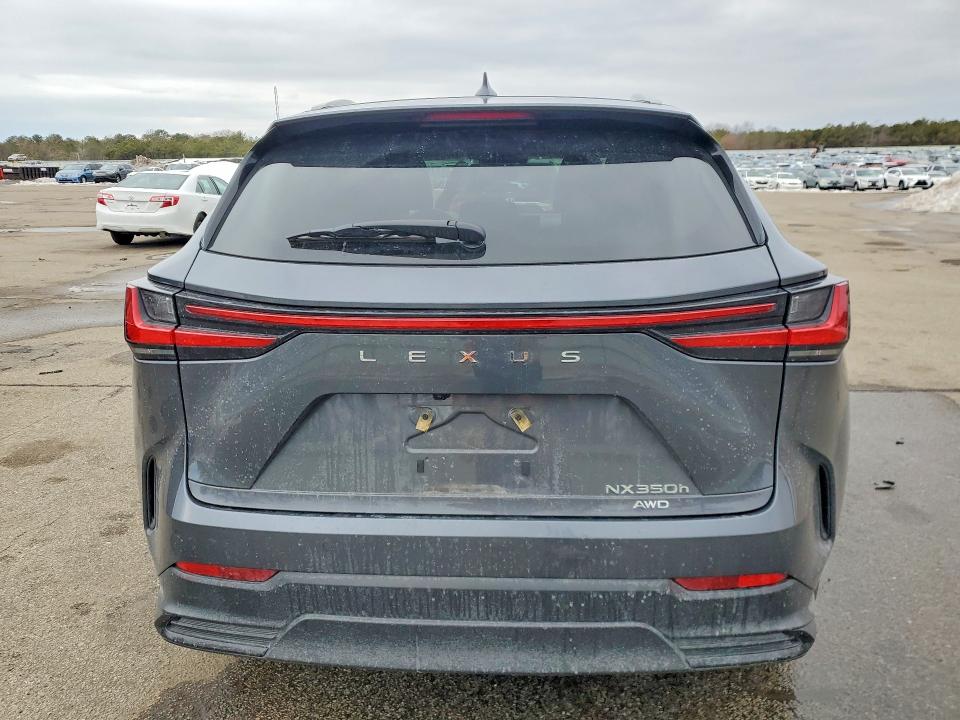 Продажа на аукционе авто 2024 Lexus Nx, vin: 2T2GKCEZ7RC022321, номер лота: 77064925