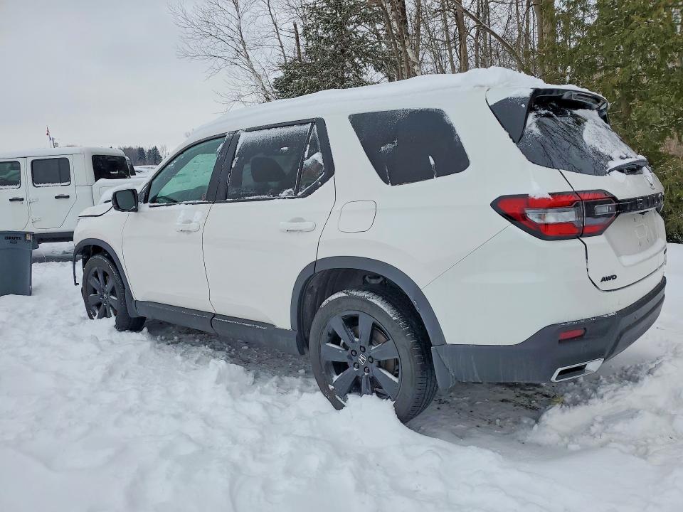 Продаж на аукціоні авто 2025 Honda Pilot, vin: 5FNYG1H98SB508373, номер лоту: 75069925