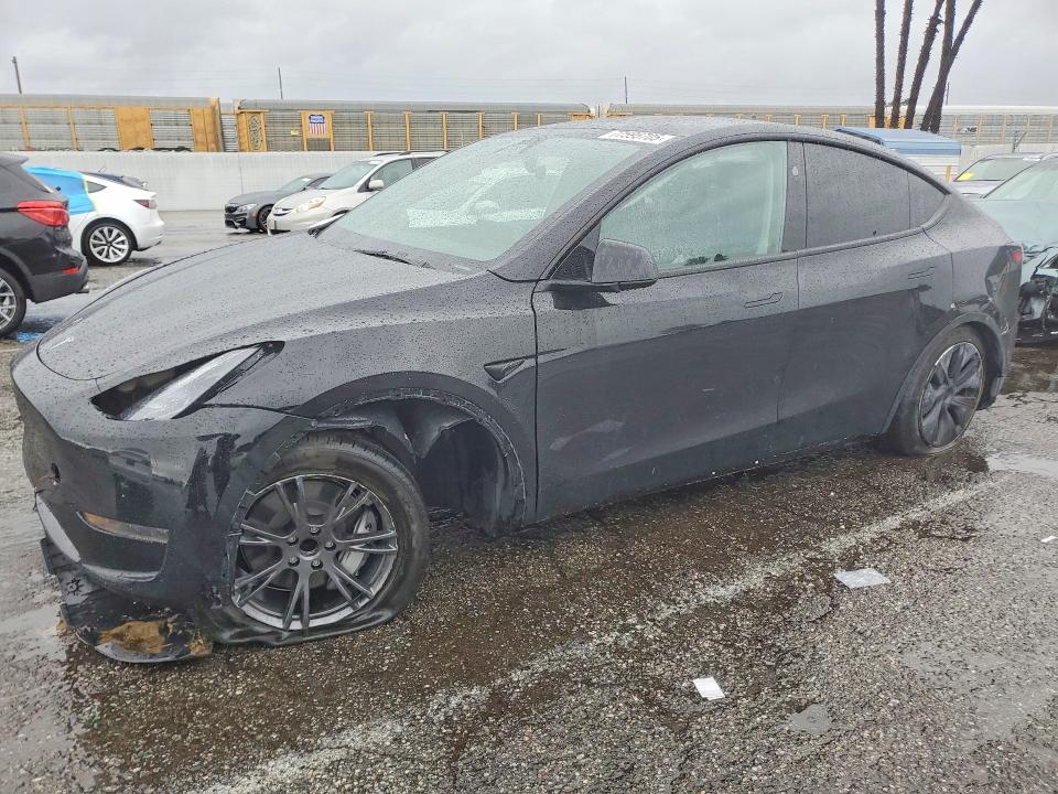 Продажа на аукционе авто 2025 Tesla Model Y, vin: 7SAYGDED2SF235041, номер лота: 77595705