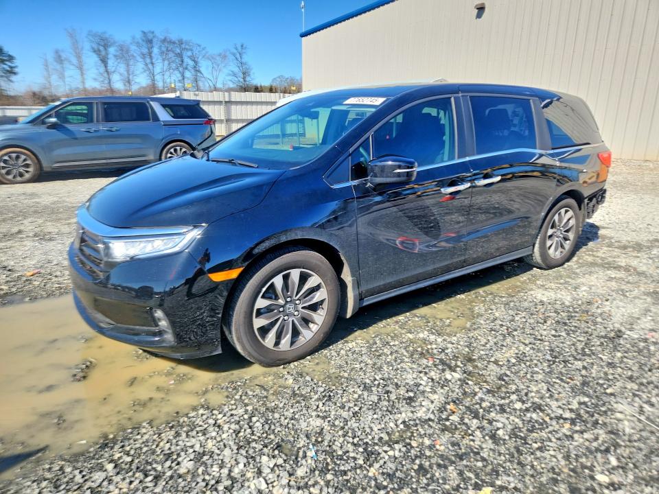 Продаж на аукціоні авто 2024 Honda Odyssey, vin: 5FNRL6H66RB060129, номер лоту: 77652745