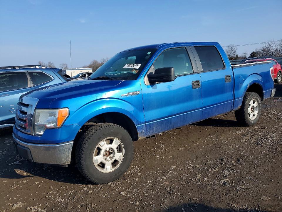 Aukcja sprzedaży 2010 Ford F150, vin: 1FTEW1E84AFA61133, numer aukcji: 77920415