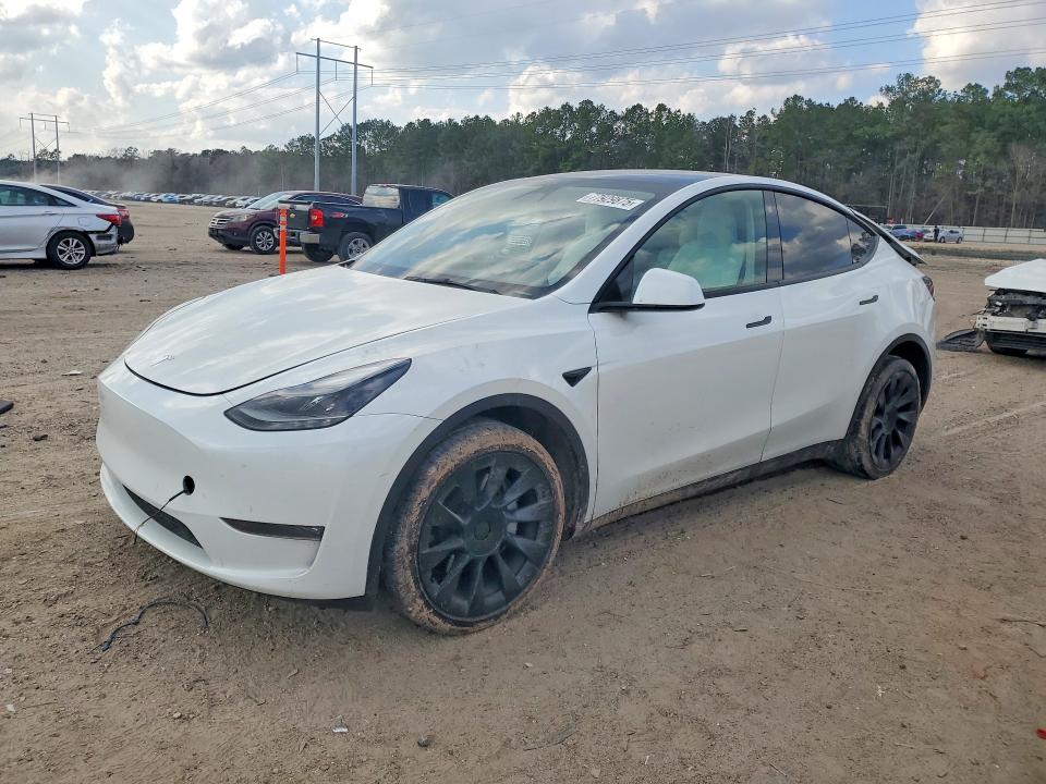 Aukcja sprzedaży 2023 Tesla Model Y, vin: 7SAYGDEE7PF750410, numer aukcji: 77929875