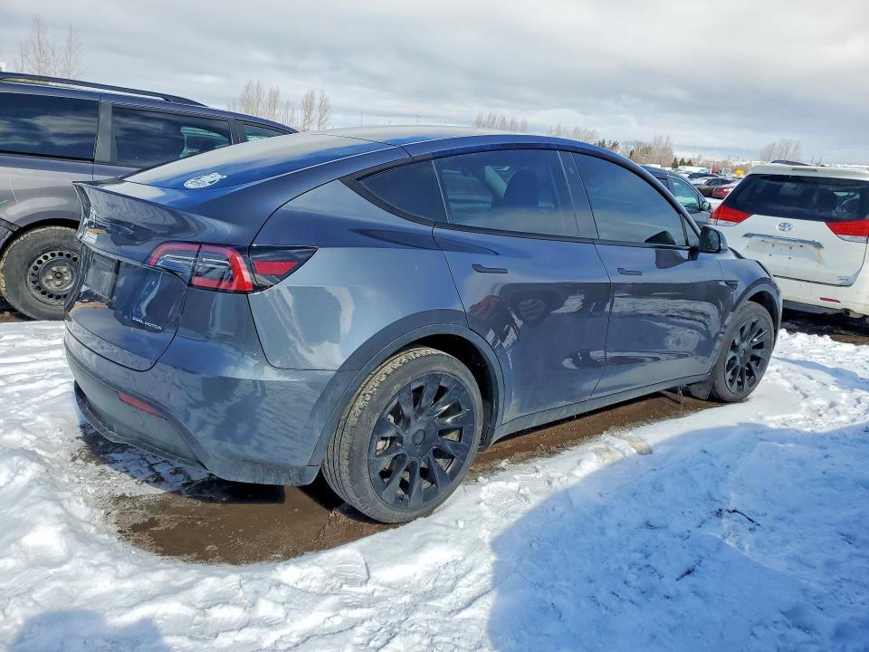 Продаж на аукціоні авто 2023 Tesla Model Y, vin: 7SAYGDEE2PF775120, номер лоту: 77303425