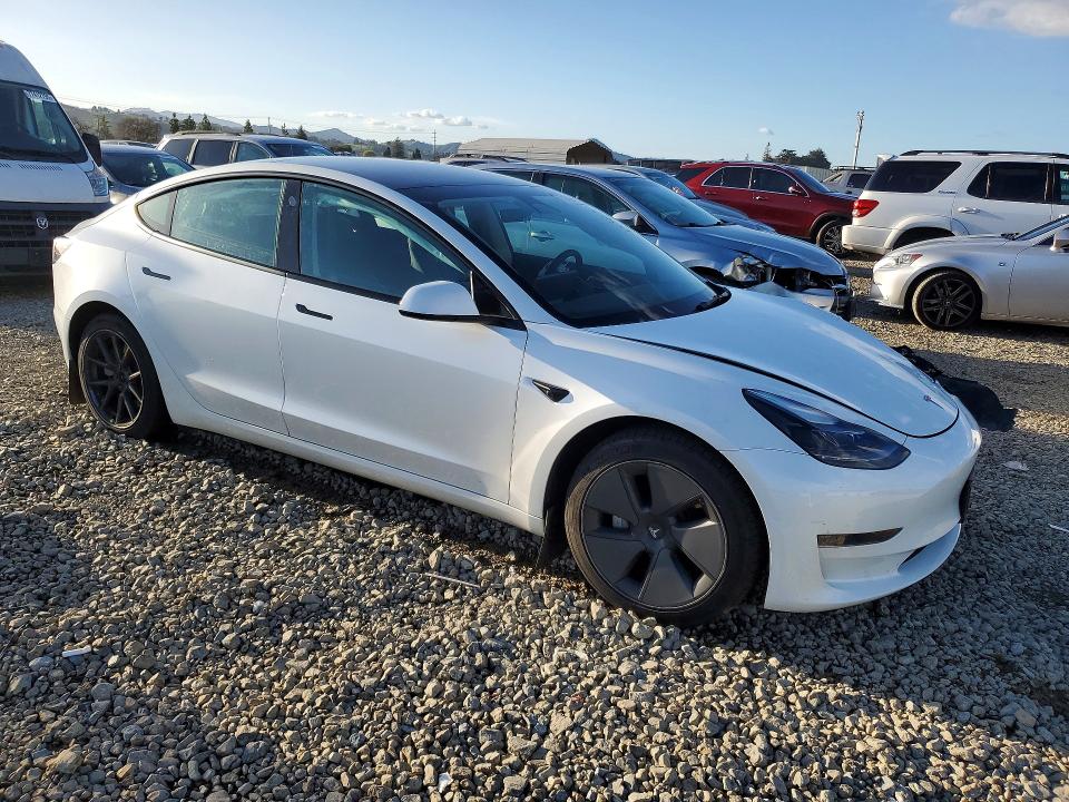 Auction sale of the 2023 Tesla Model 3, vin: 5YJ3E1EA4PF491254, lot number: 77142465