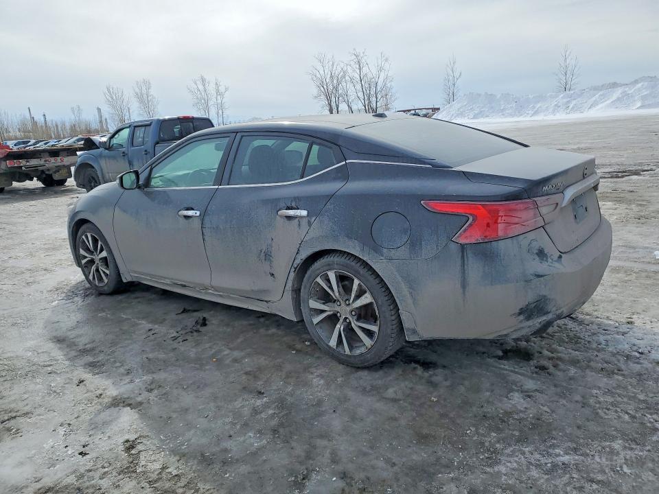 77708435 :رقم المزاد ، 1N4AA6AP7HC361919 vin ، 2017 Nissan Maxima مزاد بيع