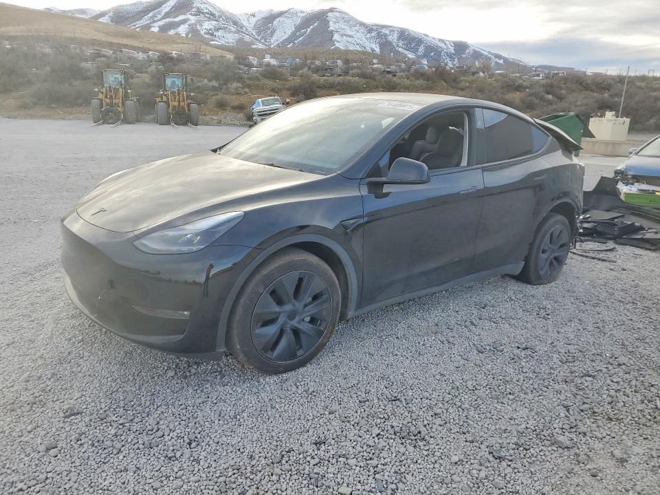 Продажа на аукционе авто 2024 Tesla Model Y, vin: 7SAYGDEE5RF202327, номер лота: 76409975