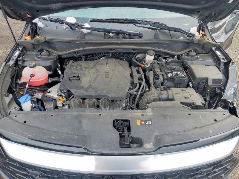 Продаж на аукціоні авто 2024 Kia Sportage, vin: 5XYK43DF8RG141046, номер лоту: 79027715