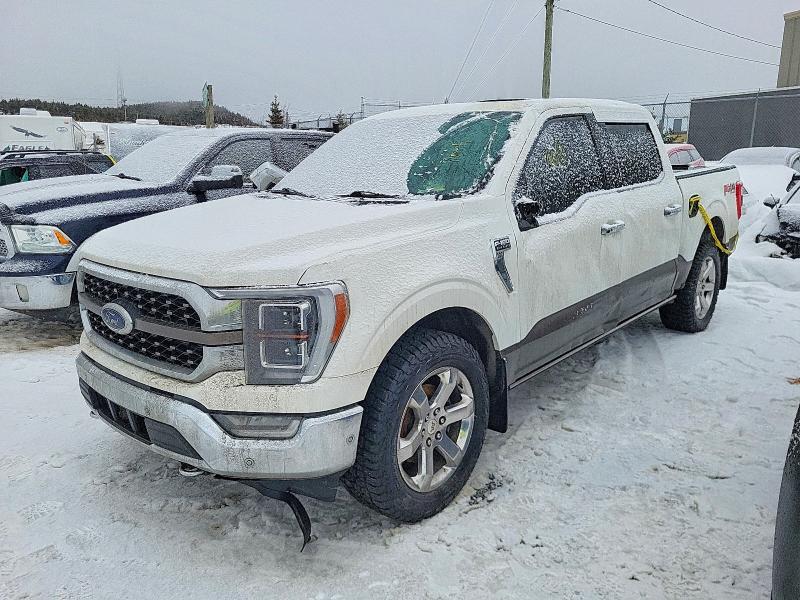 Aukcja sprzedaży 2021 Ford F150, vin: 1FTFW1E84MFA75249, numer aukcji: 74041695