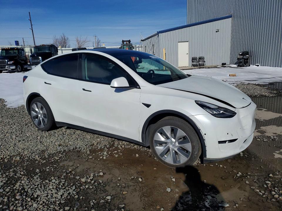 Aukcja sprzedaży 2020 Tesla Model Y, vin: 5YJYGDEE2LF051189, numer aukcji: 77628235