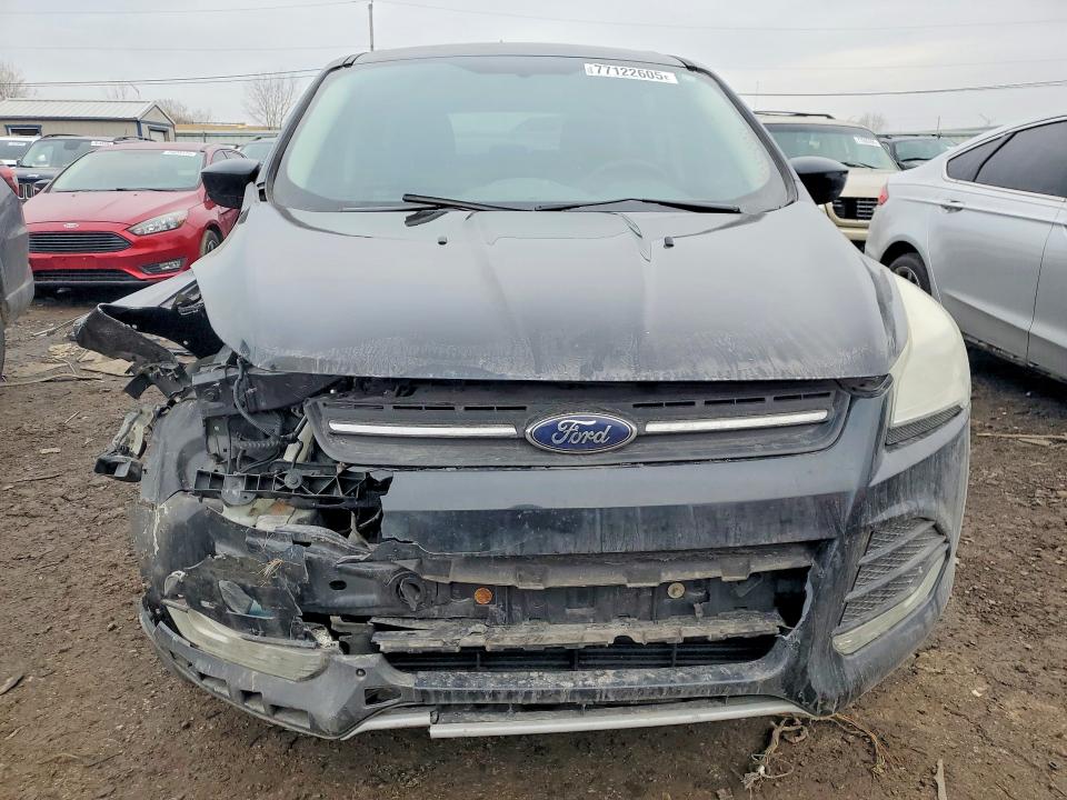 Продажа на аукционе авто 2014 Ford Escape, vin: 1FMCU0GX7EUB77032, номер лота: 77122605