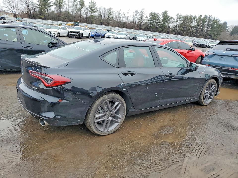 Продаж на аукціоні авто 2025 Acura Tlx, vin: 19UUB6F5XSA002628, номер лоту: 78548795