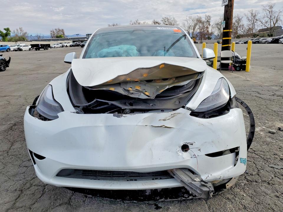 Продаж на аукціоні авто 2025 Tesla Model Y, vin: 7SAYGDEE0SF267799, номер лоту: 75709085