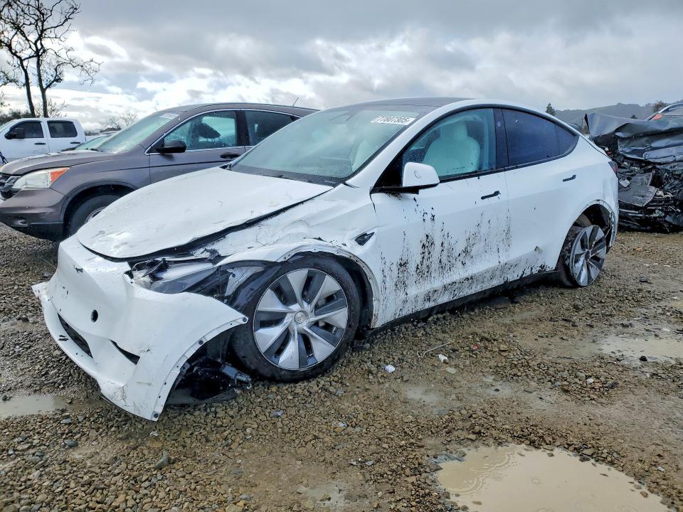 Aukcja sprzedaży 2024 Tesla Model Y, vin: 7SAYGDEE4RF056471, numer aukcji: 77807305