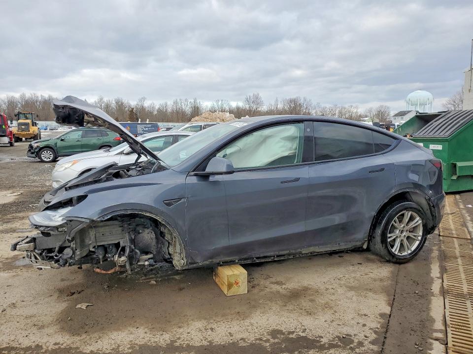 Продаж на аукціоні авто 2023 Tesla Model Y, vin: 7SAYGDEE3PA032544, номер лоту: 76851775
